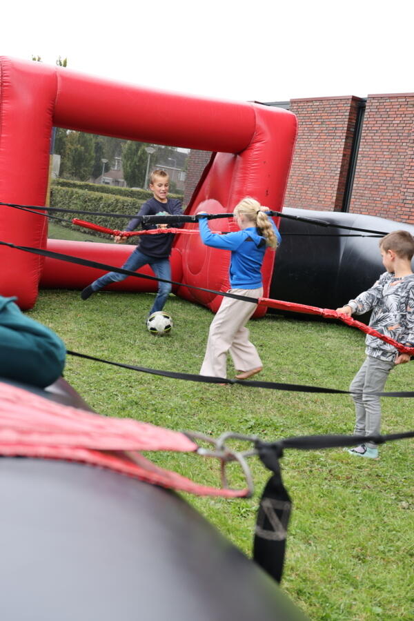 IMG 8173