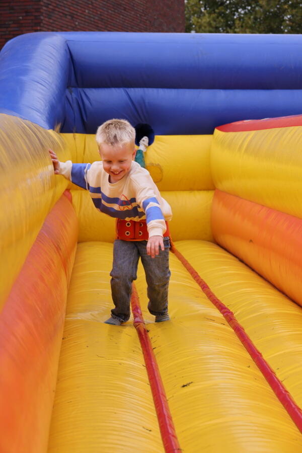 IMG 8233