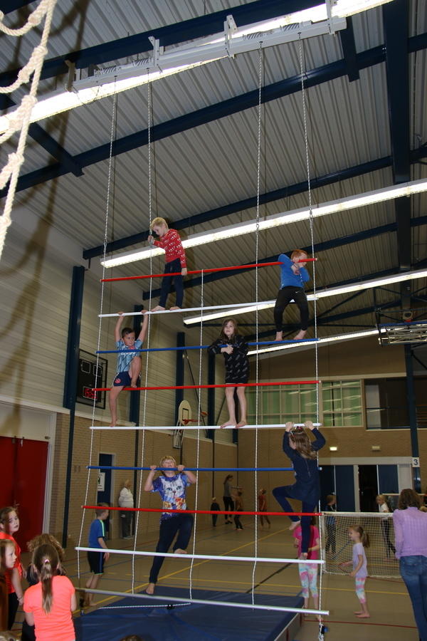 IMG 9845