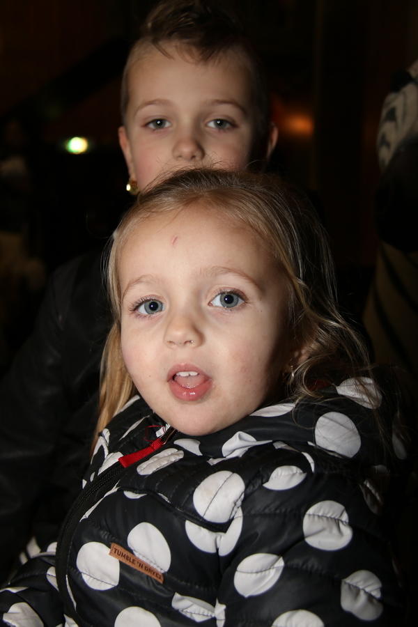 IMG 3084