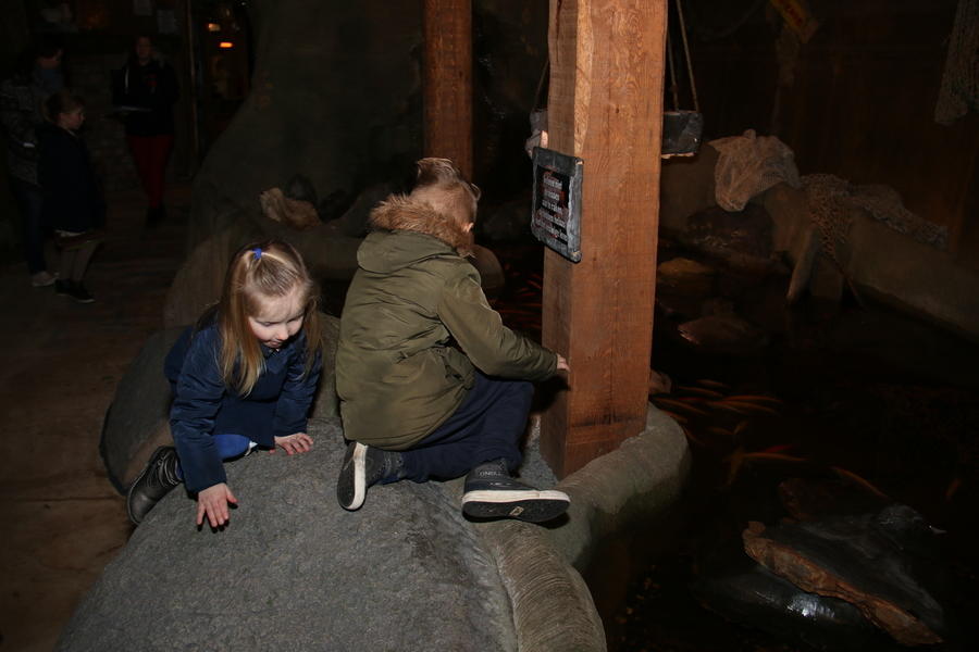 IMG 3147
