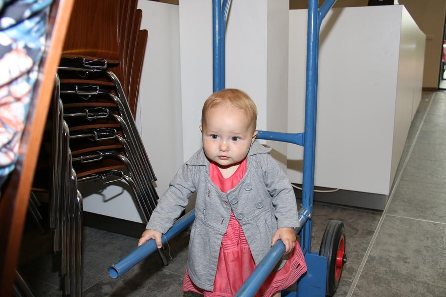 IMG 0943