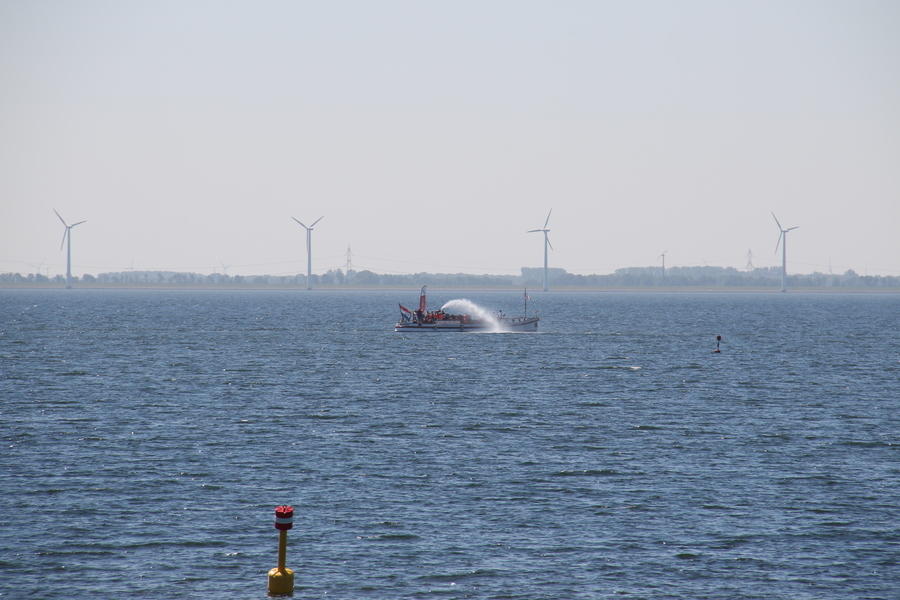 IMG 7391