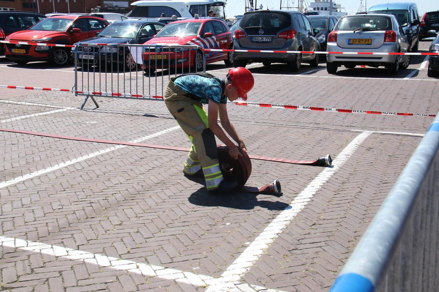 IMG 7486