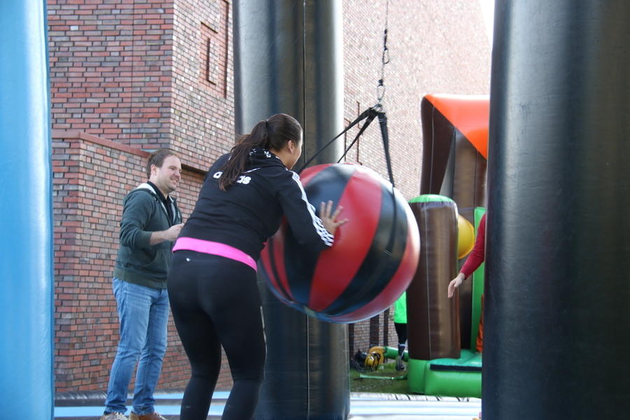 IMG 7955