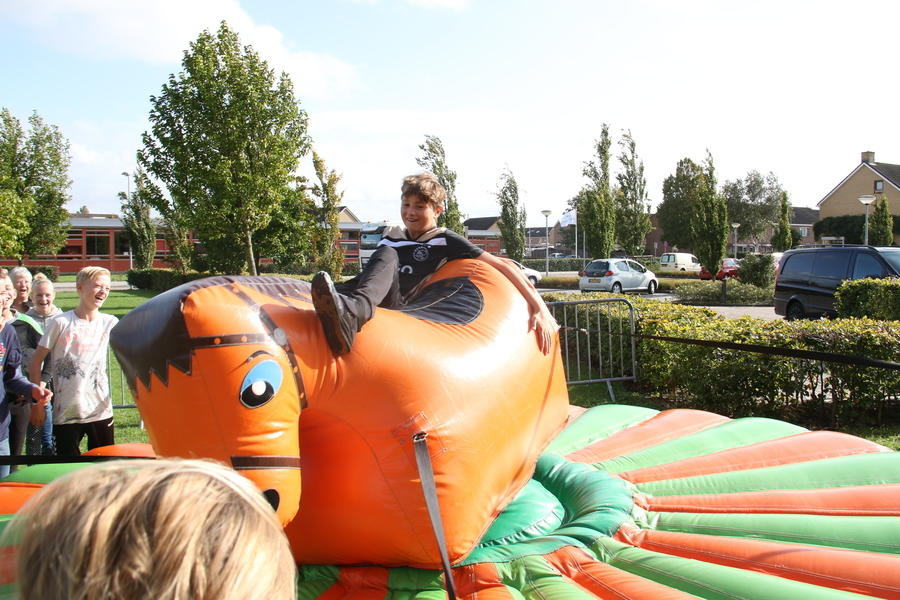 IMG 7966