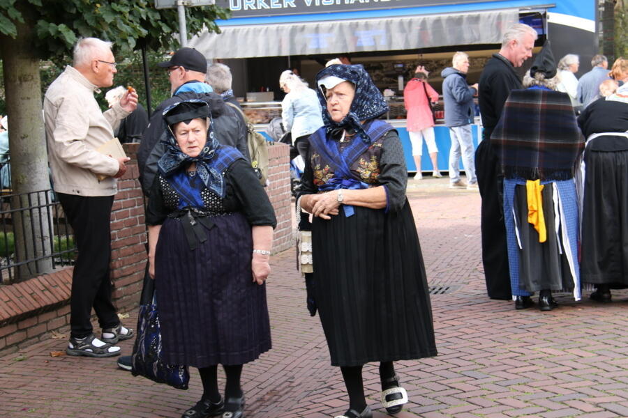 IMG 3748