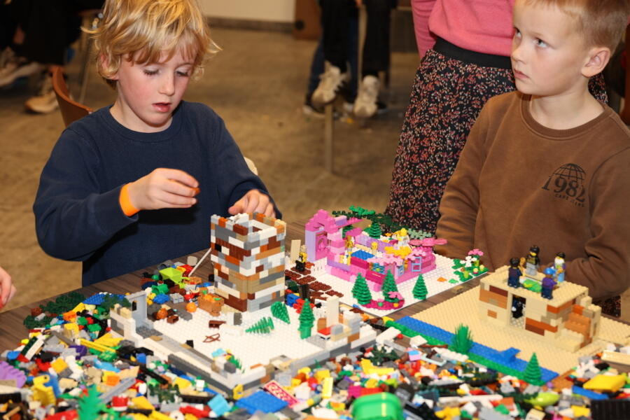 IMG 8931
