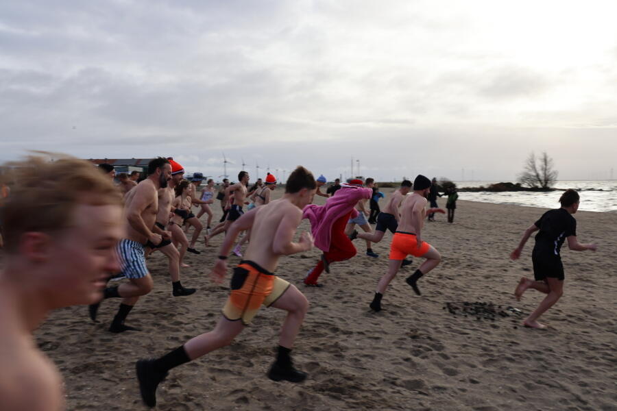 IMG 9948