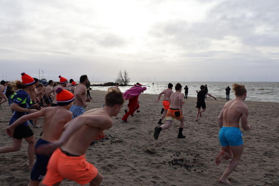 IMG 9949