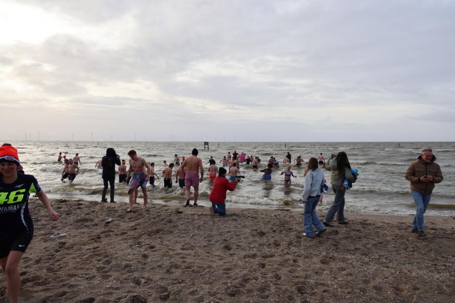 IMG 9956
