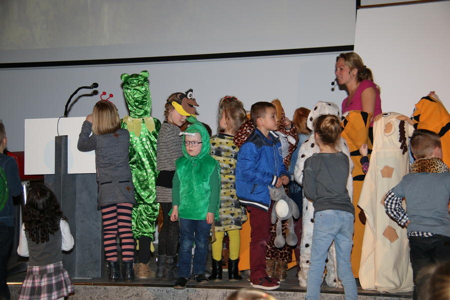 IMG 4151