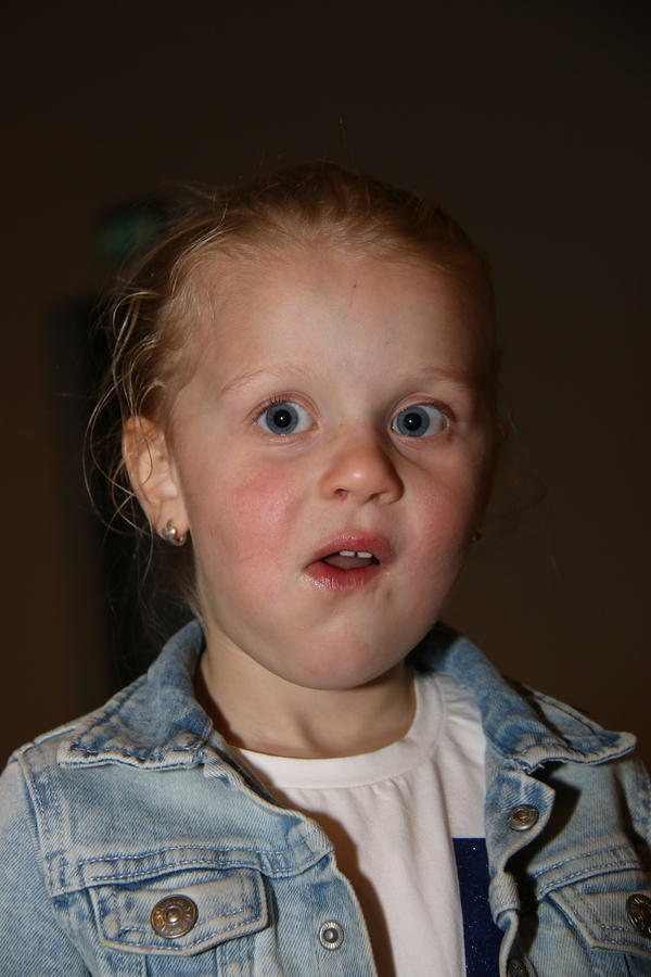 IMG 7139