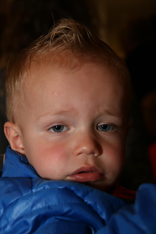 IMG 7318