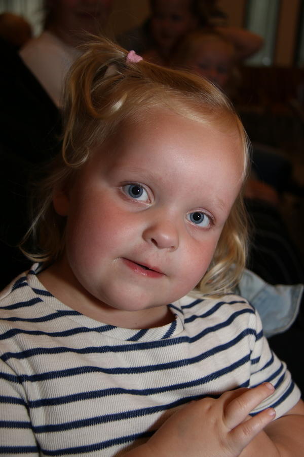 IMG 7495