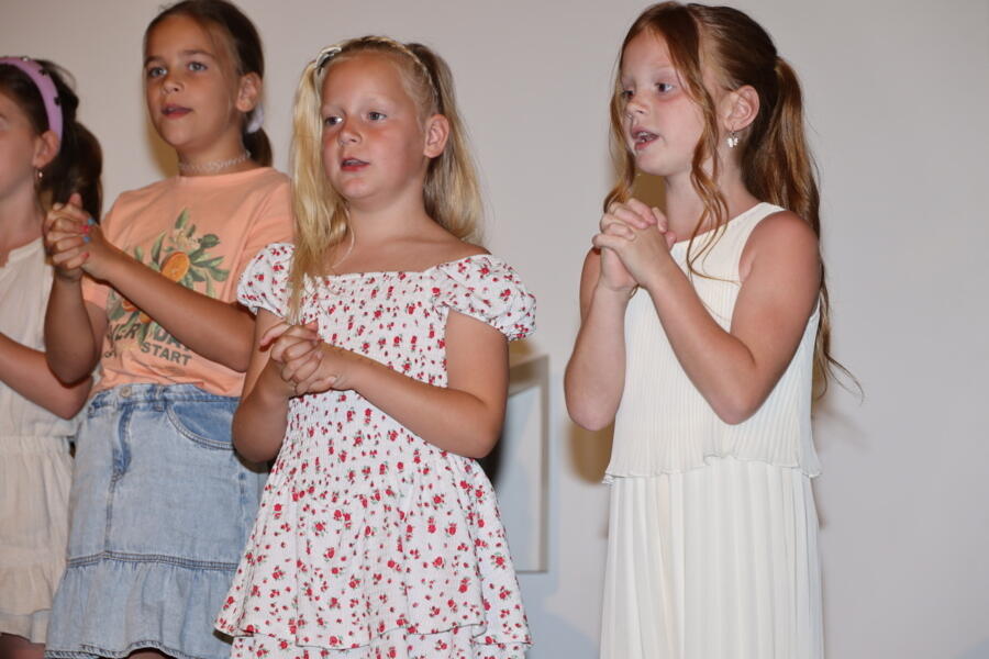 IMG 7038