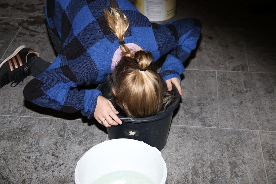 IMG 2508