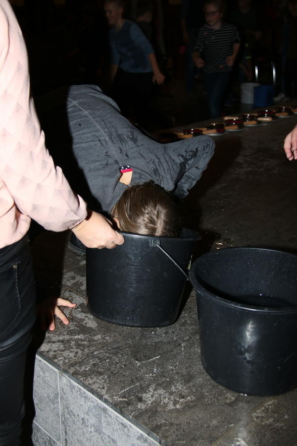 IMG 2517