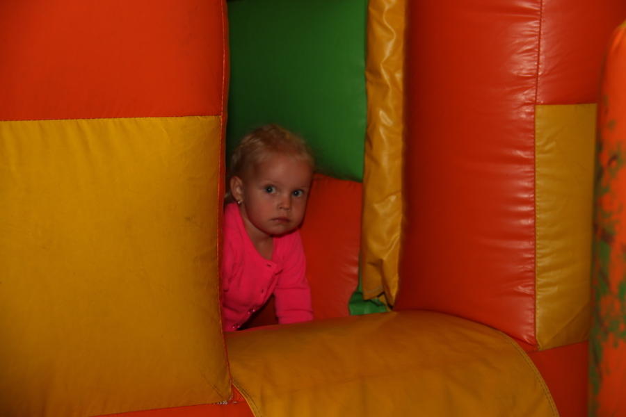 IMG 8984