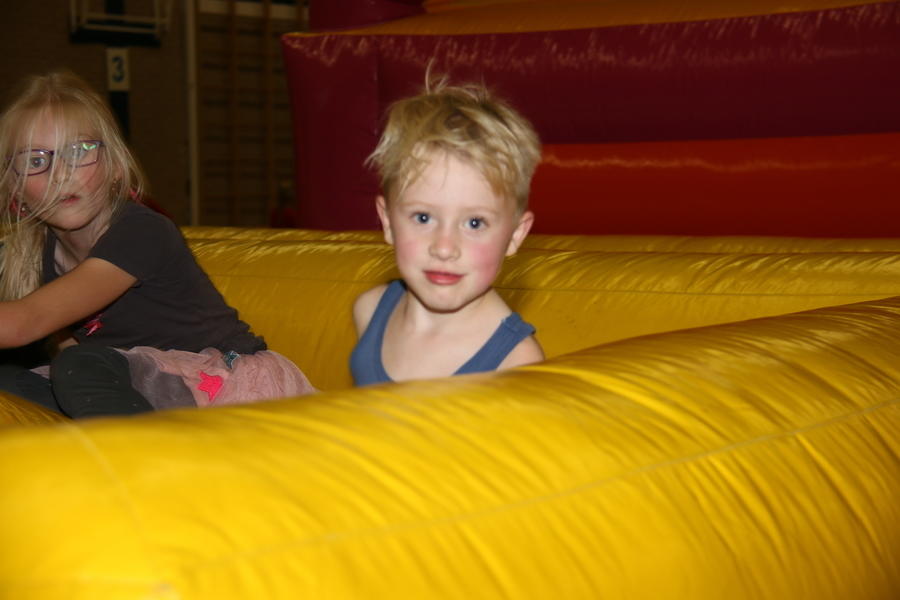 IMG 2253