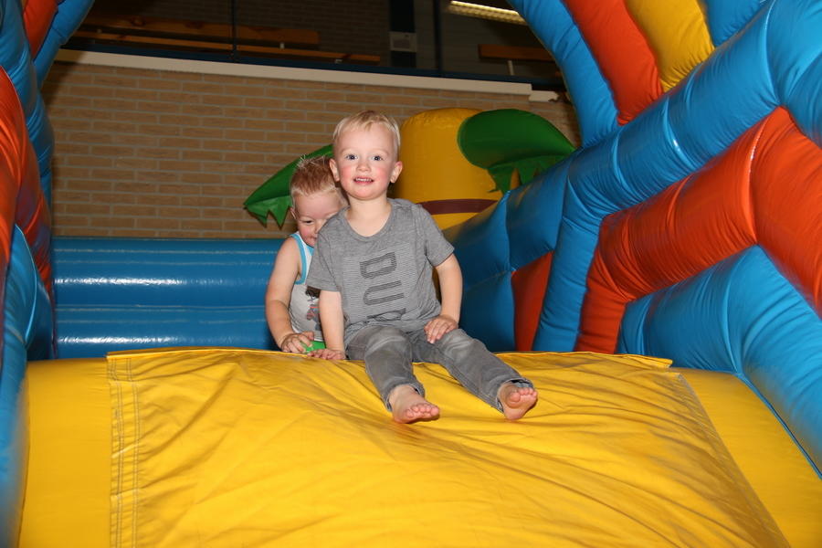 IMG 2262