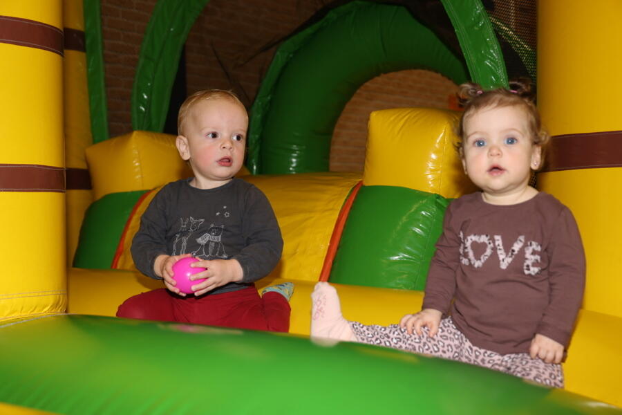IMG 8817