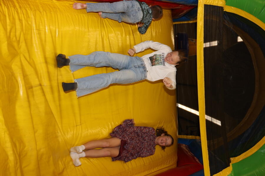 IMG 3145