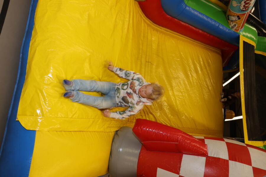 IMG 3185
