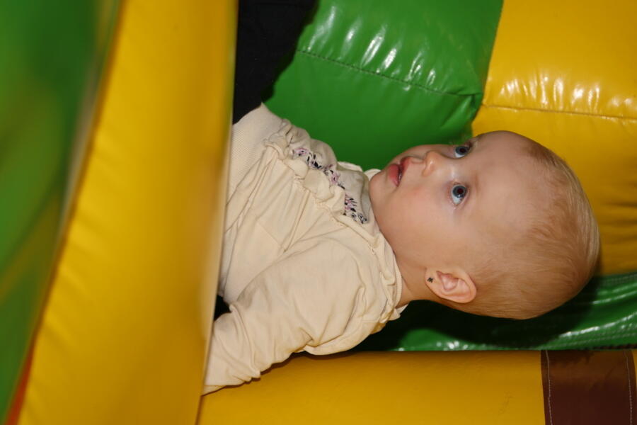 IMG 3382