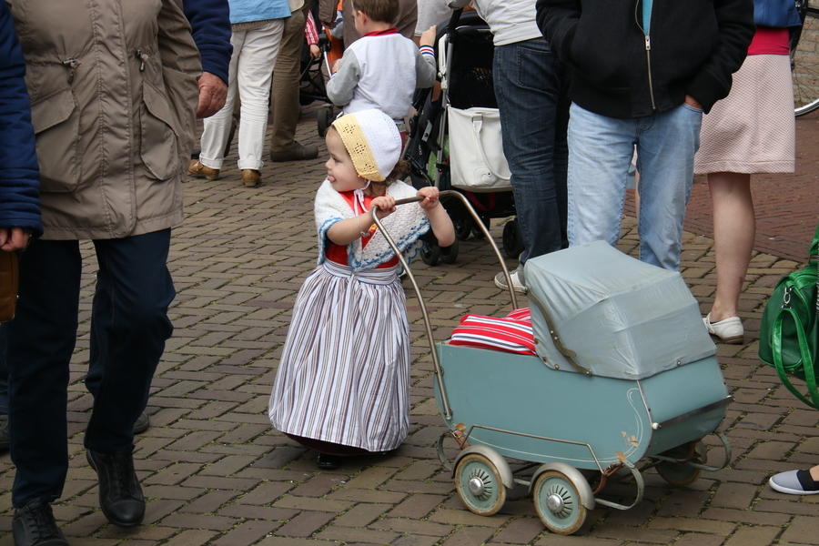 IMG 4596