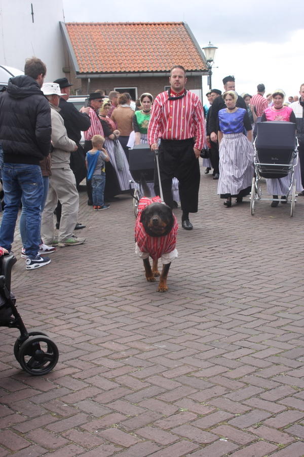 IMG 1020
