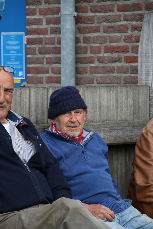 IMG 7381