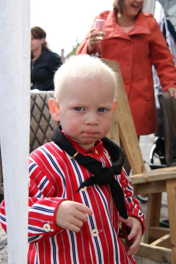 IMG 7737