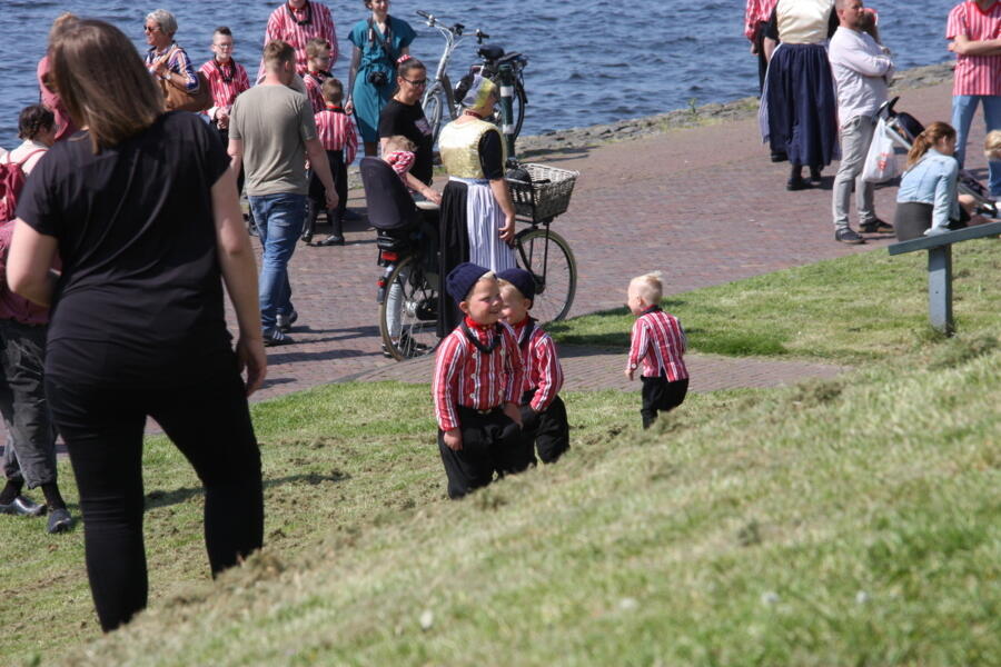 IMG 2637