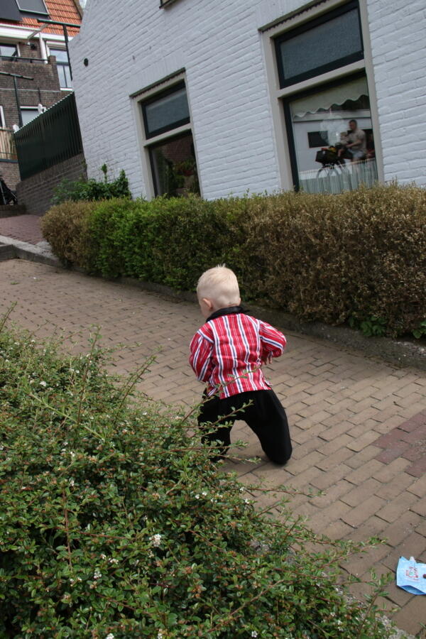 IMG 4765