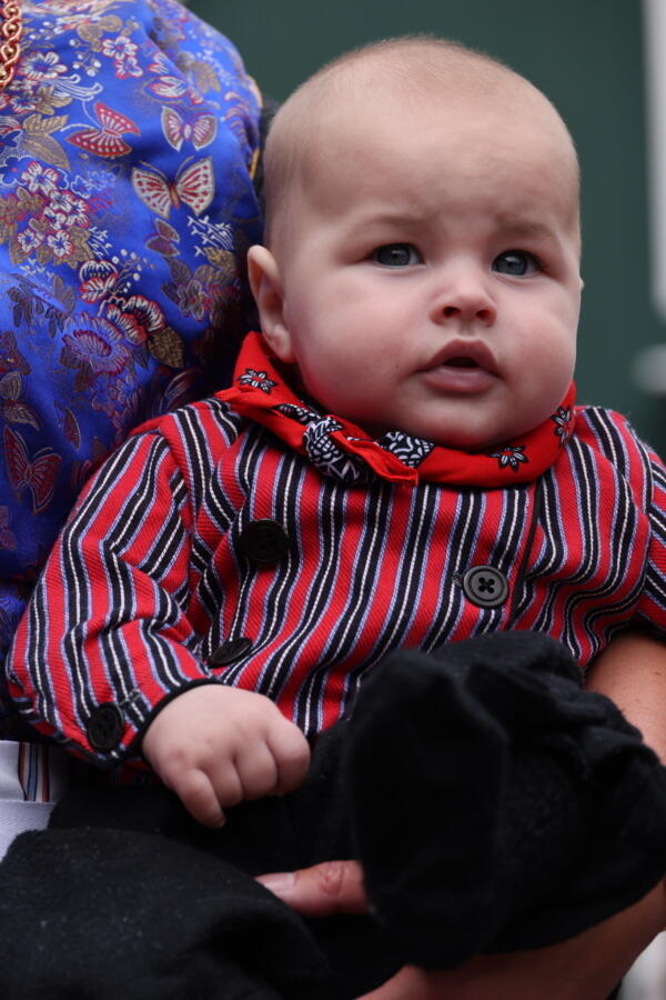 IMG 6484