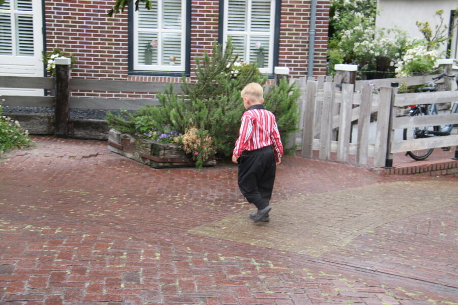 IMG 6660