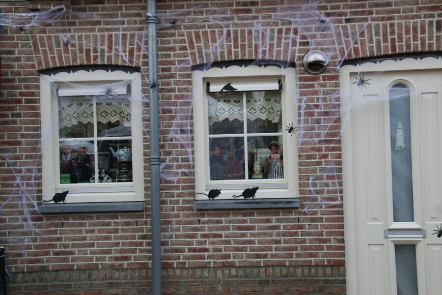 IMG 1489