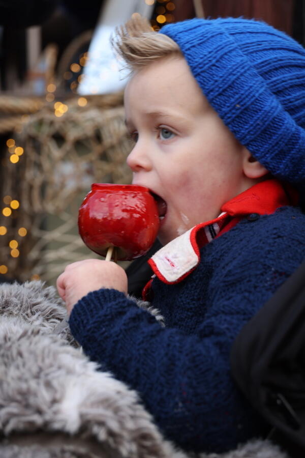 IMG 4627