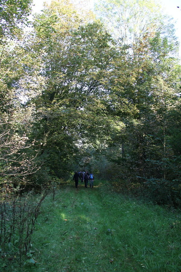 IMG 5710