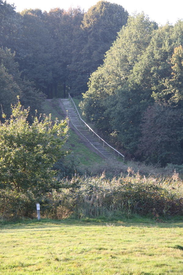 IMG 5717