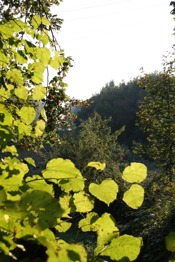 IMG 5739