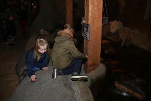 IMG 3147