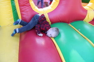 IMG 1905