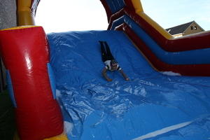 IMG 4617