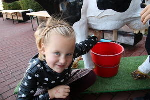 IMG 7789