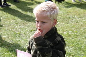 IMG 7843