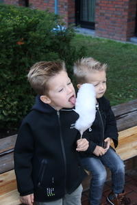 IMG 7891
