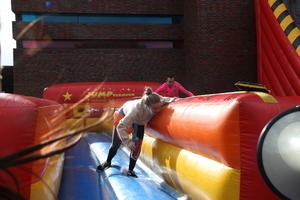 IMG 7976