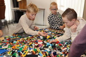 IMG 8937